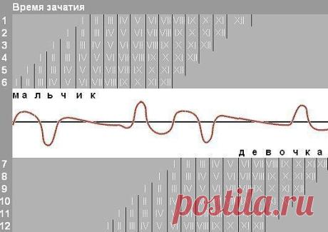 ЯПОНСКИЙ МЕТОД ПЛАНИРОВАНИЯ РЕБЕНКА / Новые дети