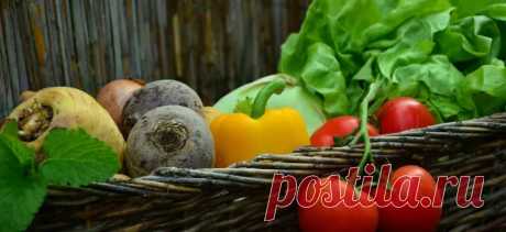 Сезонные продукты Средиземноморской кухни: Зима