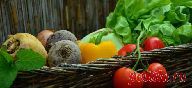 Сезонные продукты Средиземноморской кухни: Зима