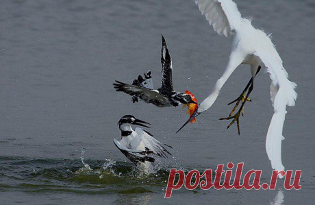geram: Каким судом судите,таким будете судимы;и какою мерою мерите,такою и вам будут мерить---Иисус Христос