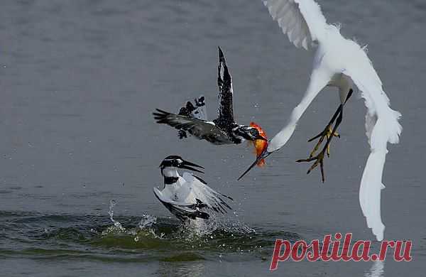 geram: Каким судом судите,таким будете судимы;и какою мерою мерите,такою и вам будут мерить---Иисус Христос