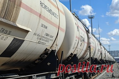 Петербургский нефтяной терминал впервые импортировал пальмовое масло