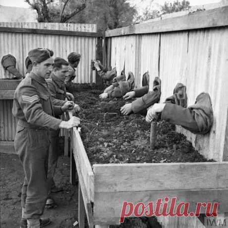 19 редких фото, которые показывают историю под неожиданным углом