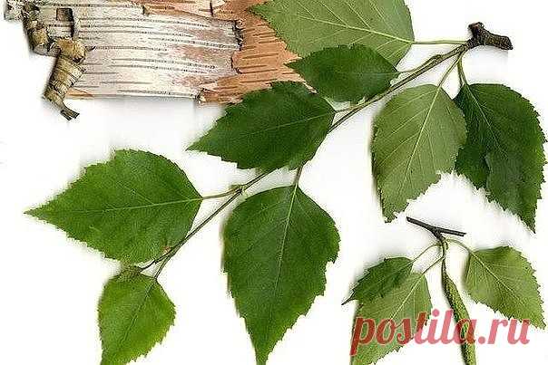 Очищаем организм и кожу