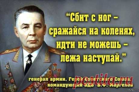 Максим Ивашкин