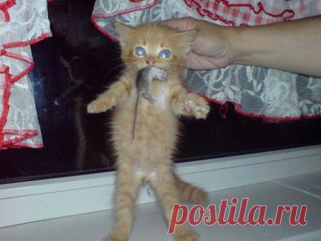 Охотничек))))