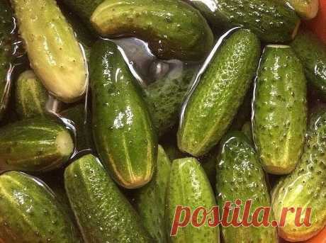 САМЫЙ ВКУСНЫЙ РЕЦЕПТ СОЛЕНЫХ ОГУРЧИКОВ, КОТОРЫМ ПОЬЗУЮСЬ УЖЕ 20 ЛЕТ!

Для тех, кто любит хрустящей и острое!!!
Я получила его, когда училась у деревенской бабушки- травницы, в глухой деревушке на Алтае. До того момента считала, что все огурцы ужасны в солении - мягкие, водянистые, невкусные. До сих пор, пробуя огурцы у всех, кто не знает этого рецепта, ни разу не ела вкусных!!!

Рецепт простейший, результат - супер!!! Секрет - соленая вода (колодезная или родниковая)!!!
Ит...