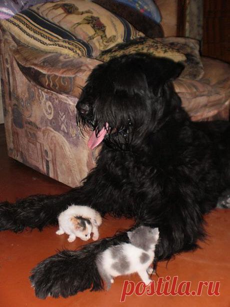 Мой Мир@Mail.Ru