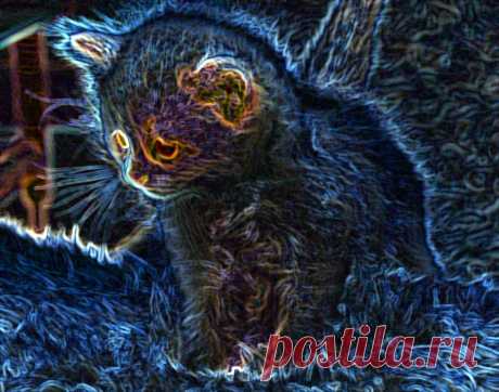 Пыльная кладовка: Имена для котяшек - нужен совет