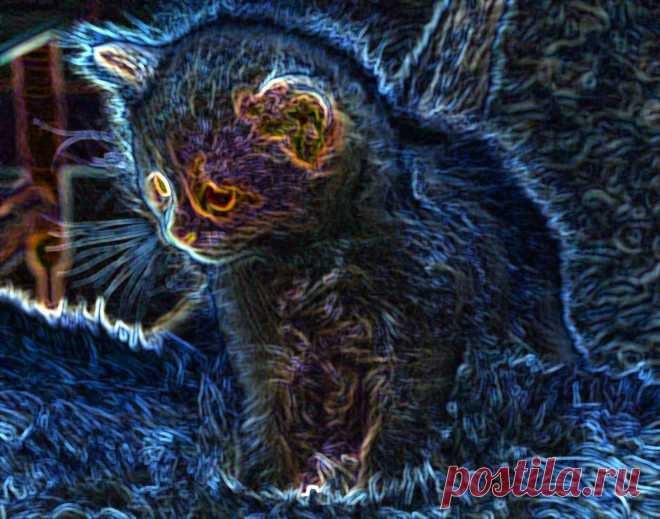 Пыльная кладовка: Имена для котяшек - нужен совет