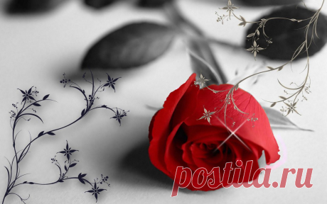 236075-dorren.jpg (1280×800)
