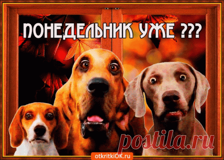 Красивые картинки с Понедельником | Открытки бесплатно