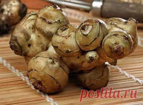 (96) Одноклассники