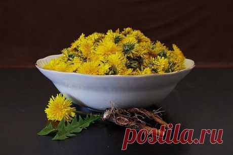 Одуванчик очищает кровь нормализует обмен веществ