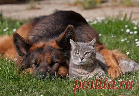getImage (640×442)