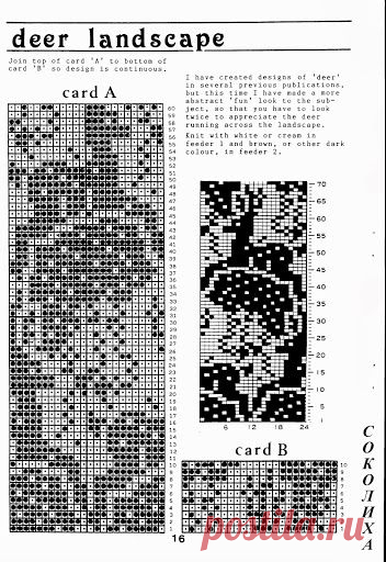 Ирис Бишоп 4 - Наталья Сальникова - Веб-альбомы Picasa