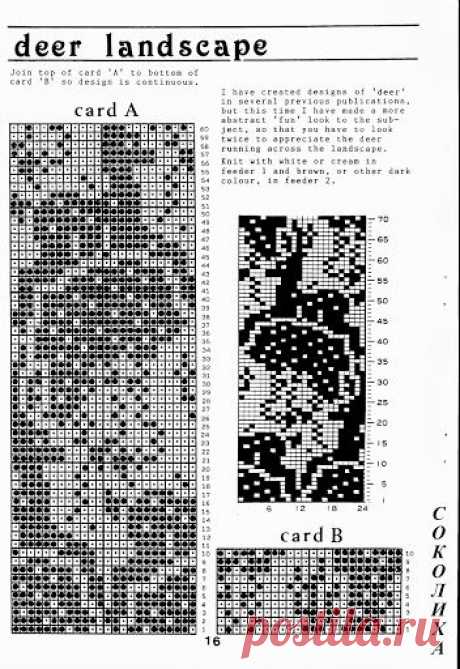 Ирис Бишоп 4 - Наталья Сальникова - Веб-альбомы Picasa