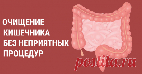 Очищение кишечника с помощью супер скраба по рецепту диетологов Чтобы провести очищение кишечника при помощи скраба из простых продуктов питания, воспользуйтесь проверенными народными рецептами