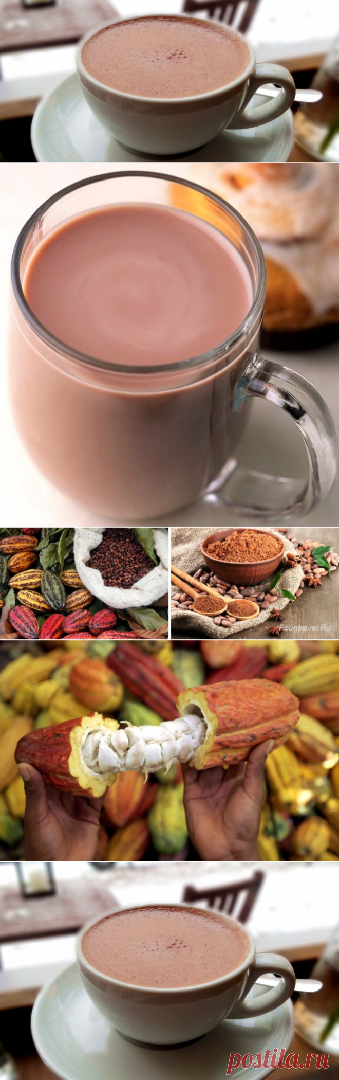 Полезные свойства какао для организма человека