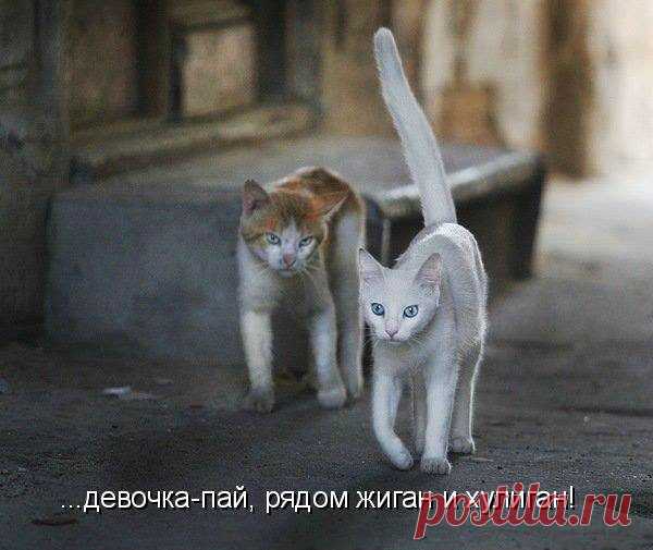 ПРИТЯГИВАЮТСЯ ЛИ ПРОТИВОПОЛОЖНОСТИ?

Возвращался я как-то летом из деревни в город. Добравшись до станции, я узнал, что в связи с ремонтом железнодорожных путей моя электричка оказалась в списке отмененных. Возвращаться обратно по жаре я не очень хотел, тем более, что следующая электричка должна быть здесь через 30 минут. Поэтому я остался на перроне, сев на лавочку в тени берез. Рядом расположилась компания старшеклассников, которые возвращались из похода — загоревшие, пр...