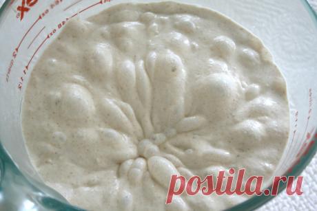 Biga (Il Fornaio). Холодная итальянская опара.