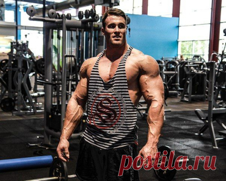 Пять эффективных стратегий для ускорения сжигания жира во время тренировок / Спорт Сильных!