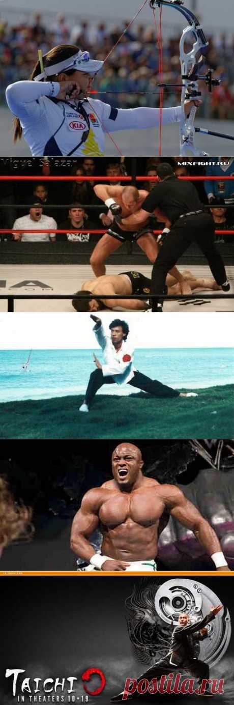 Стрельба из лука, Подводное регби, Пляжный волейбол, Бочче, Регбилиг. (1/1) - Спортивный форум. - Спортивный сайт