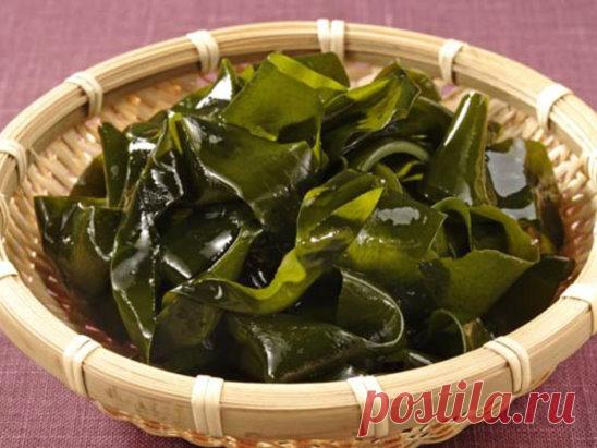 Директор Самарского НИИ диетологии и диетотерапии Михаил Гинзбург посоветовал на фоне пандемии коронавируса для укрепления иммунитета употреблять несколько раз в неделю морскую капусту.