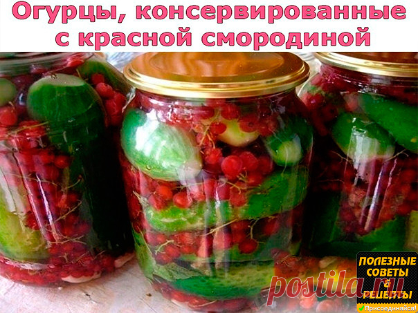 (88) Одноклассники