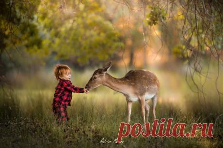 Летняя идиллия в объективе Эдриана Мюррей (Adrian Murray) — Фотоискусство