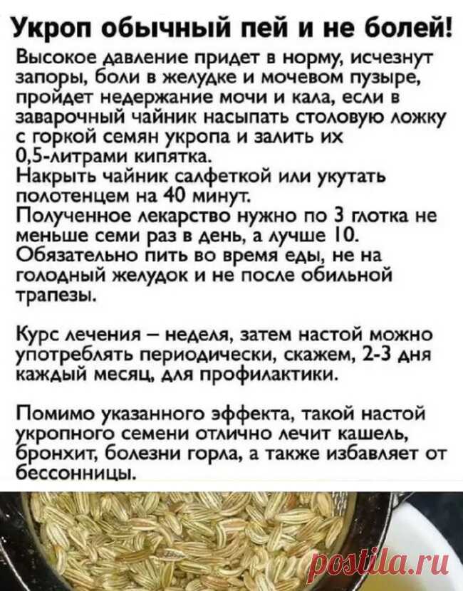 Укроп пей и не болей