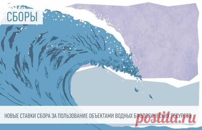 2023-Вступили в силу новые ставки сбора за пользование объектами водных биологических ресурсов Ставки налога для рыболовных компаний увеличили, но и ввели вычет, который поможет сэкономить.