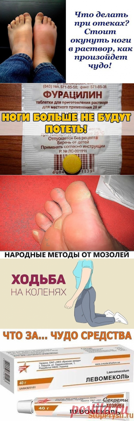 (49) Одноклассники