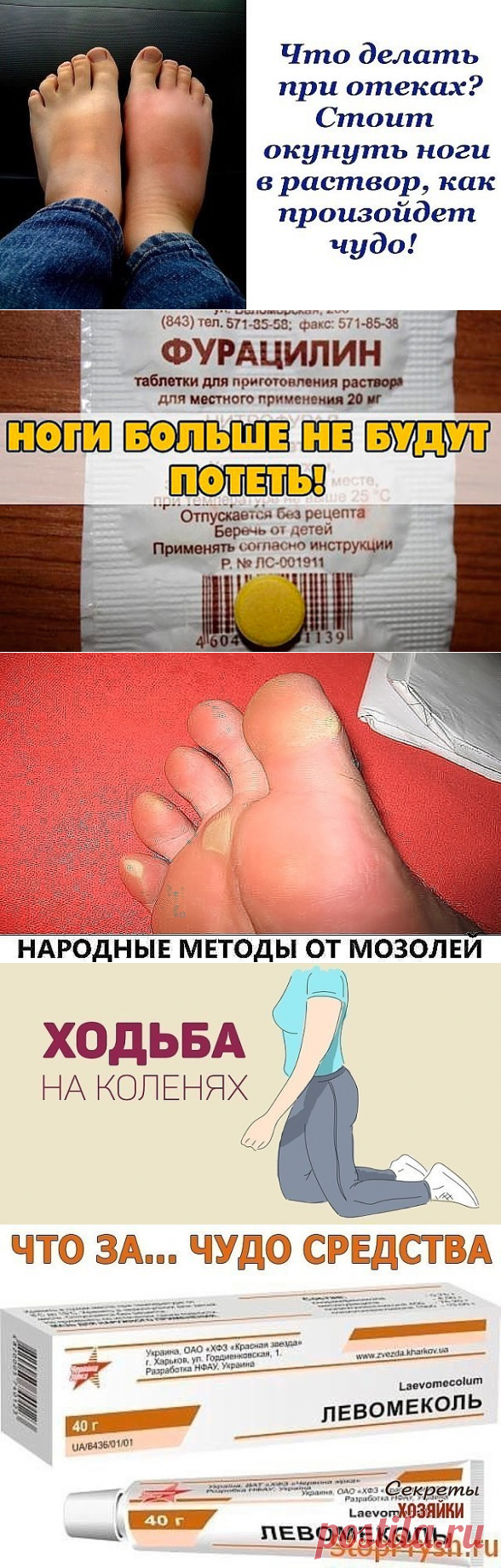 (49) Одноклассники