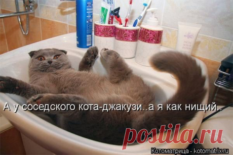 Мой Мир@Mail.Ru