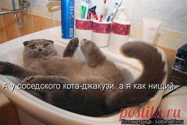 Мой Мир@Mail.Ru