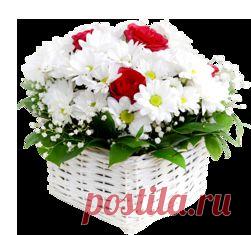 Домашние моющие средства .