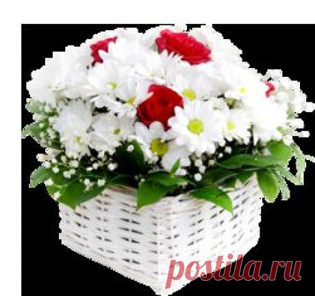 Домашние моющие средства .