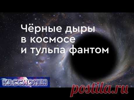 #109 Чёрные дыры в космосе, тульпа фантом, осознанный сон, жизненная сила. 
Интервью с Ириной Подзоровой. Черные дыры во Вселенной, гравитация, кванты, свободная энергия вакуума. Духовный мир, Высшее я, жизненная энергия человека. Существуют ли двойники-фантомы и как создаются тульпы. Осознанные сны, выход в астрал.