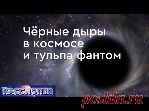 #109 Чёрные дыры в космосе, тульпа фантом, осознанный сон, жизненная сила. 
Интервью с Ириной Подзоровой. Черные дыры во Вселенной, гравитация, кванты, свободная энергия вакуума. Духовный мир, Высшее я, жизненная энергия человека. Существуют ли двойники-фантомы и как создаются тульпы. Осознанные сны, выход в астрал.