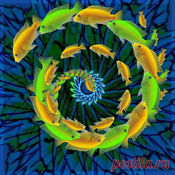 Mandala | Flickr - Photo Sharing!