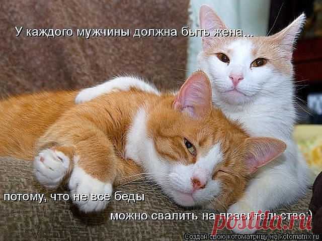 Хи-хи-хи...ржака!
Александр Невский