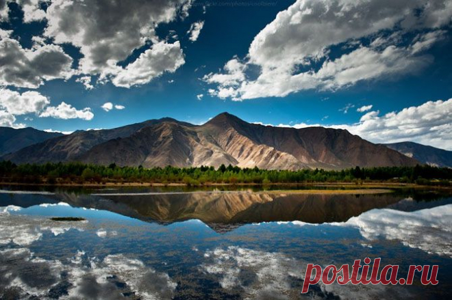 краски природы