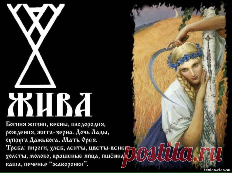 РАСА