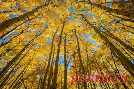 Как создать эффект звездообразования на фотографии