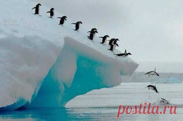 Диалоги