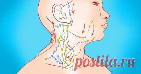 Очищение лимфы: золотые рецепты фитотерапии
Лимфатическая система – одна из самых сложных и хитро устроенных систем человека. Это система вывода ядов из организма, особенно бактериальных и грибково-паразитарных ядов простейших. Практически от этой системы зависит иммунитет человека, а иммунитет – это Жизнь! Отягощенная  лимфосистема Лимфатическая система – одна из самых сложных и хитро устроенных систем человека. Это система вывода ядов из организма, […]
Читай дальше на сайте. Жми подробнее ➡