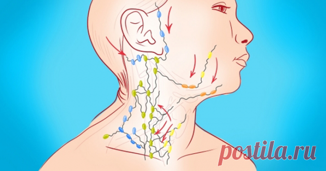 Очищение лимфы: золотые рецепты фитотерапии
Лимфатическая система – одна из самых сложных и хитро устроенных систем человека. Это система вывода ядов из организма, особенно бактериальных и грибково-паразитарных ядов простейших. Практически от этой системы зависит иммунитет человека, а иммунитет – это Жизнь! Отягощенная  лимфосистема Лимфатическая система – одна из самых сложных и хитро устроенных систем человека. Это система вывода ядов из организма, […]
Читай дальше на сайте. Жми подробнее ➡
