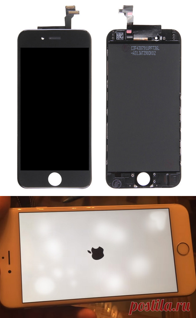 Замена стекла (модуля) iPhone 6 Киев | Сервисный центр «Phone Service»

Ищете где поменять разбитый экран на iPhone в Киеве? Из нашей статьи Вы узнаете разницу между заменой стекла и дисплейного модуля на айфон 6.