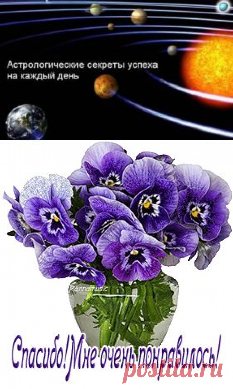 Секреты успеха на каждый день недели.